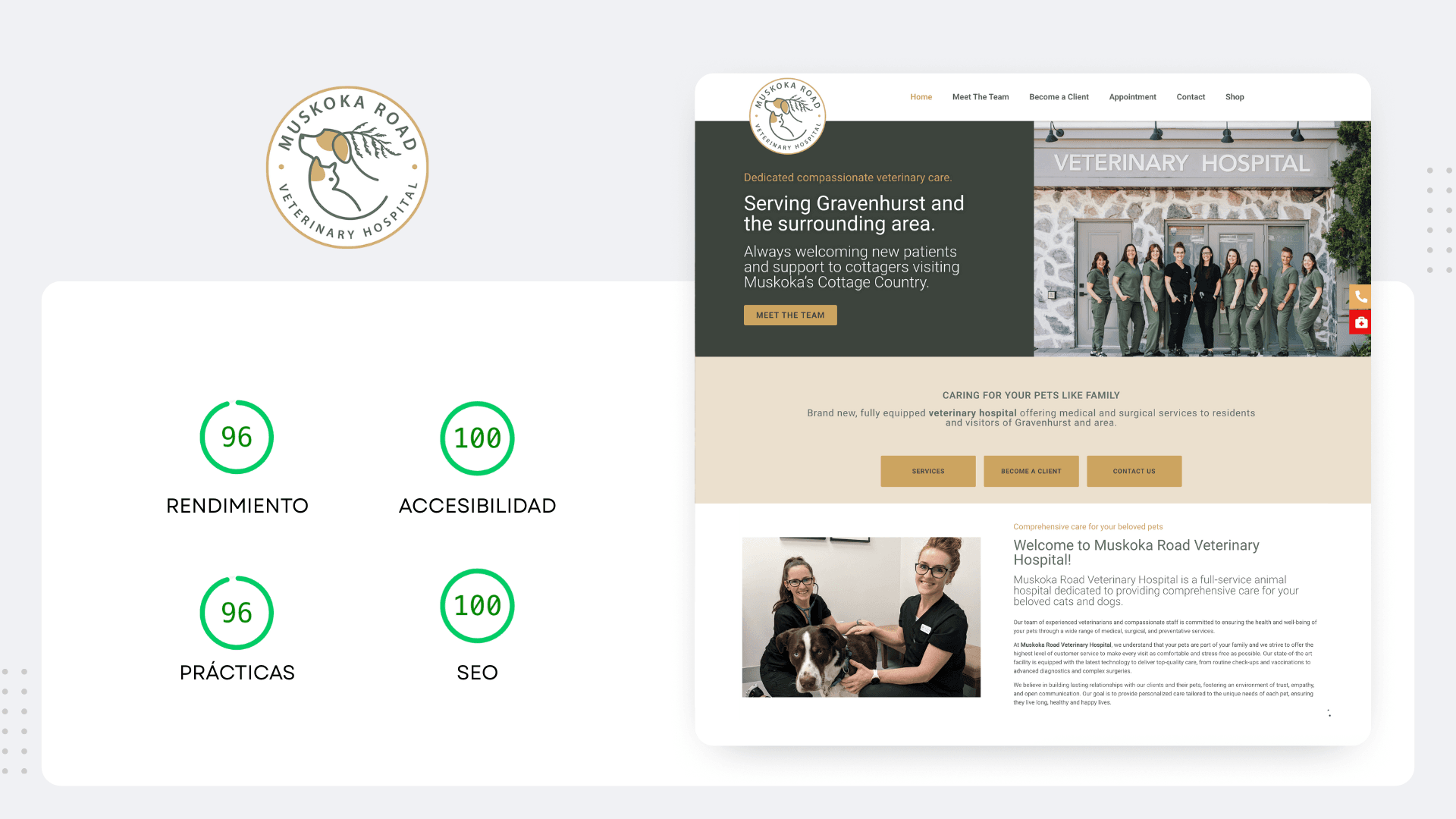 Caso de éxito SEO - Muskoka Road Vet Hospital Veterinario